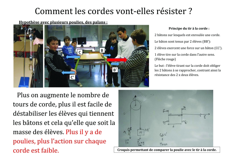 Les cordes